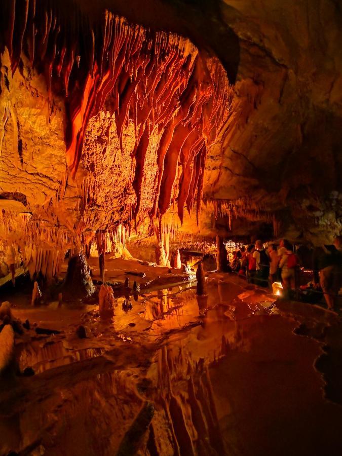 Magnifique Gite En Pierres 6 Personnes Avec Piscine Privee Ardeche Plein Sud Lablachère Εξωτερικό φωτογραφία